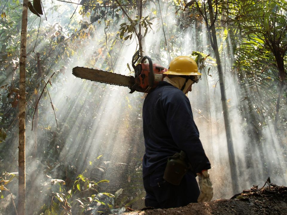 Combatientes de incendios