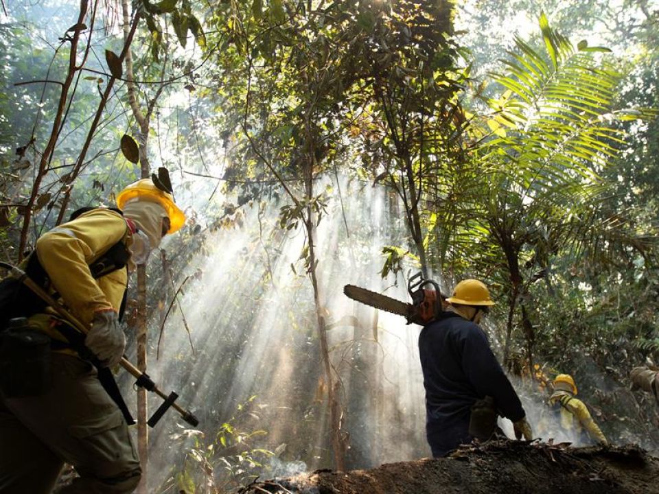 Combatientes de incendios