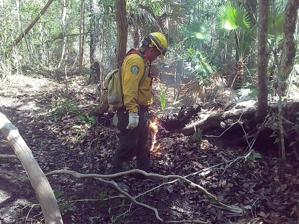 Combatiente de fuego Conafor