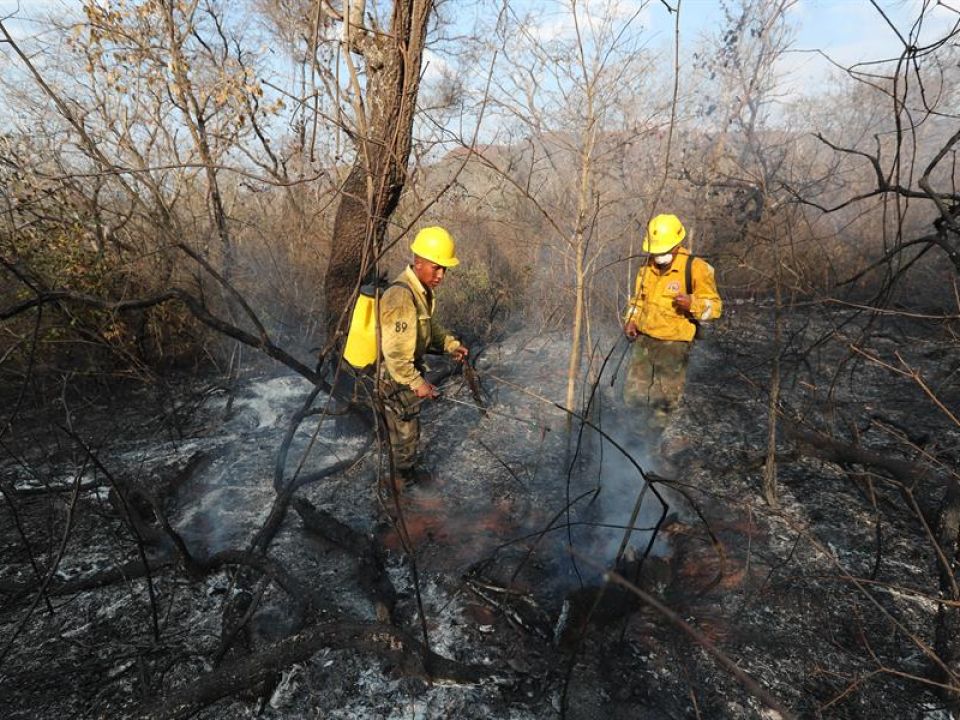 Combatientes de incendios