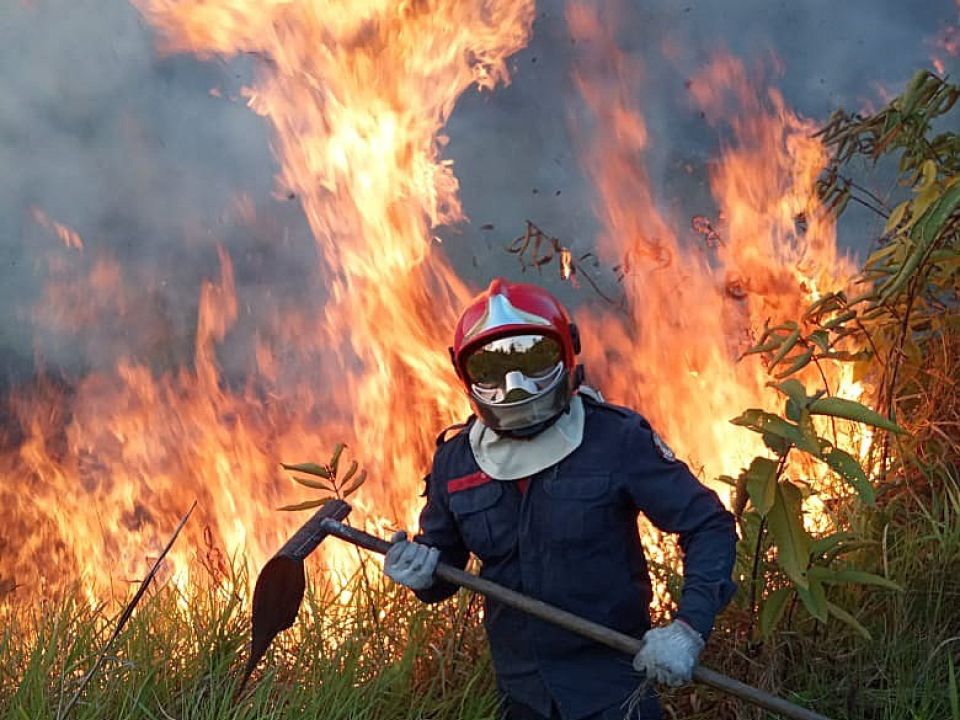 Incendio Amazonia