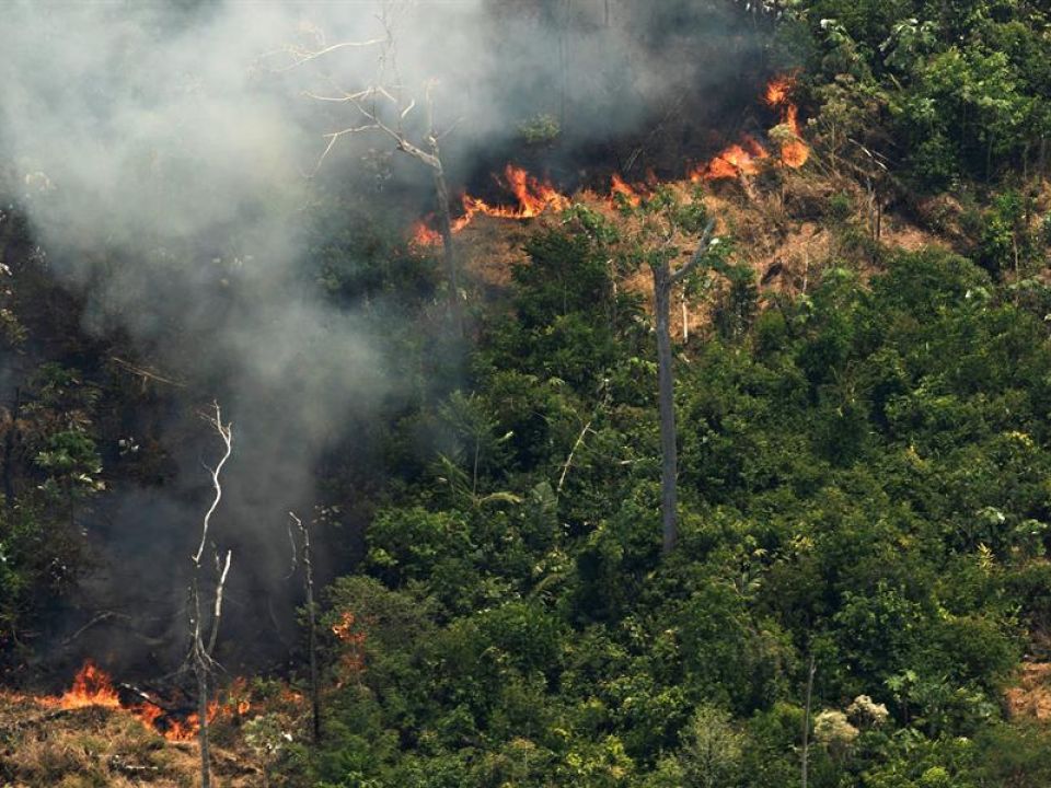 Incendio en Amazonia 