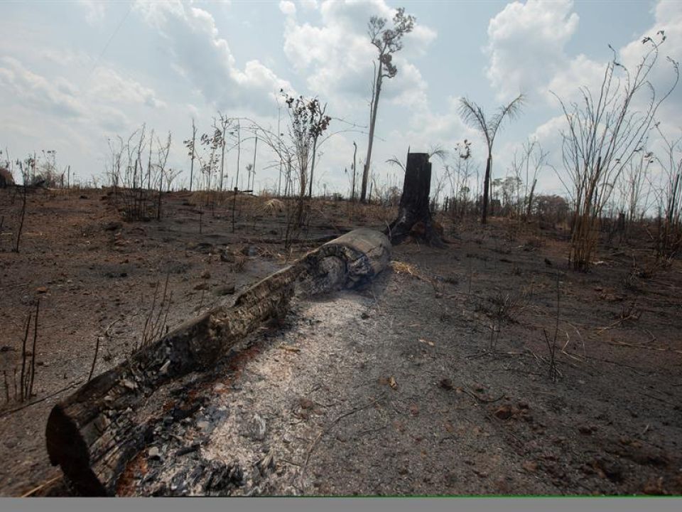 Incendio en Amazonia