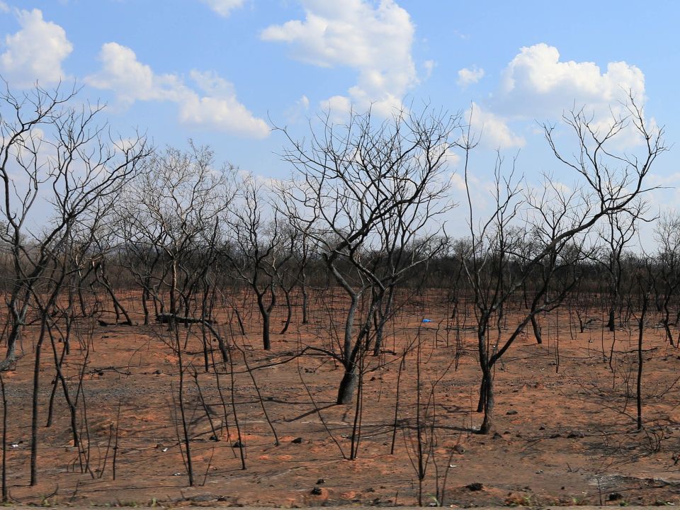 San José de Chiquitos 