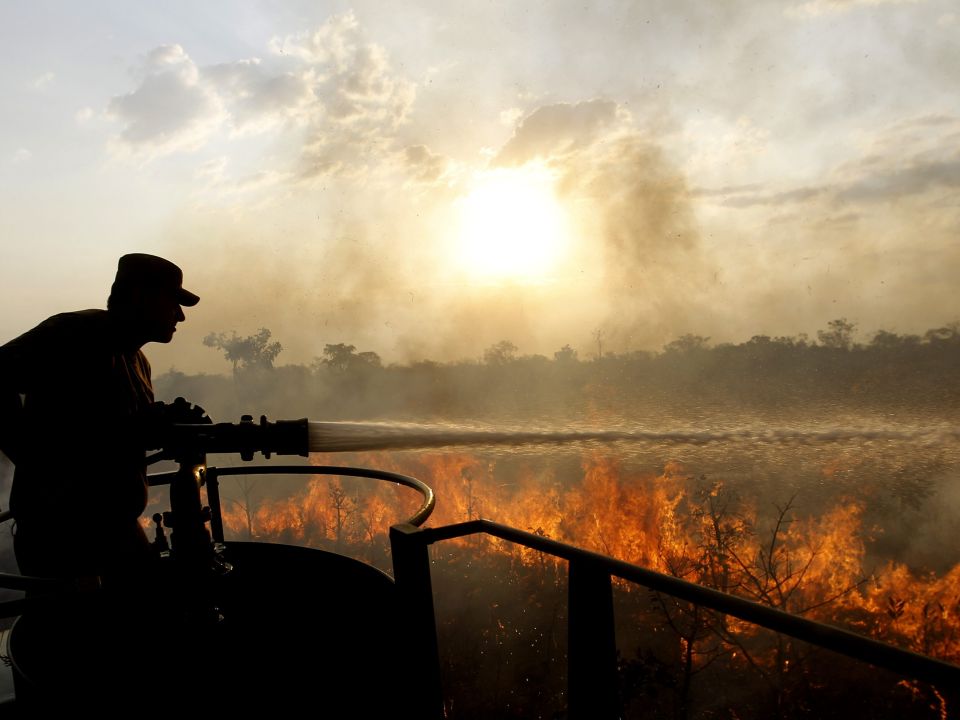 Incendio forestal