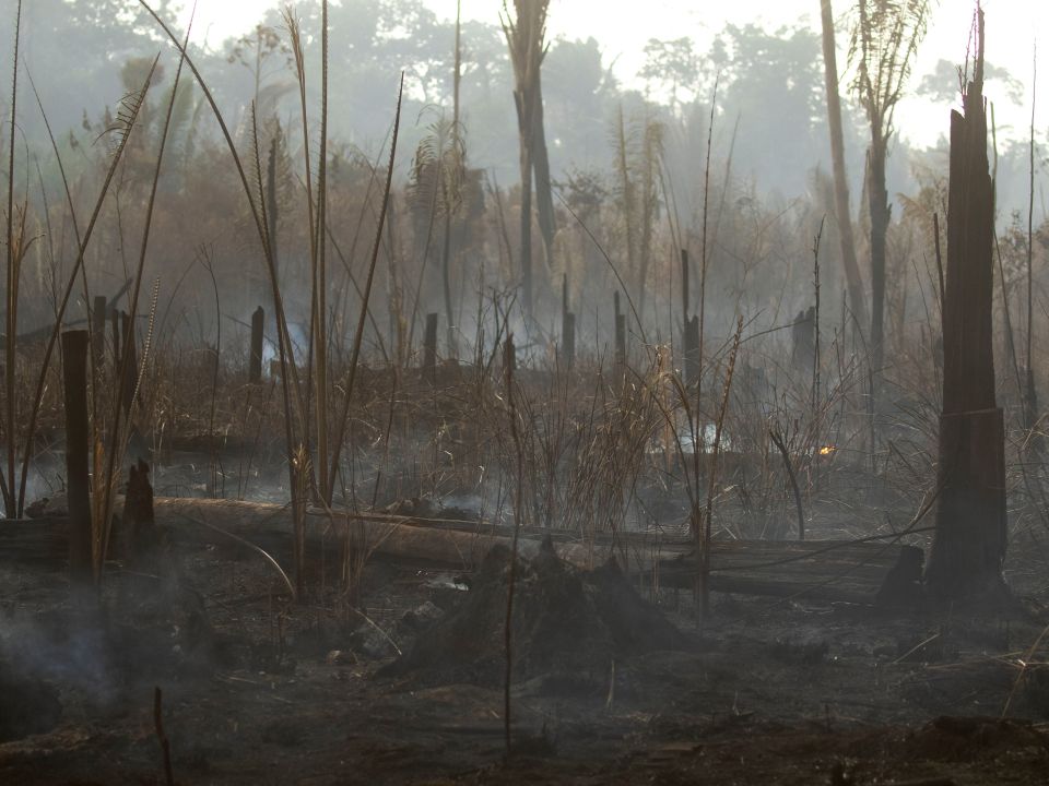 Incendio en la Amazonia
