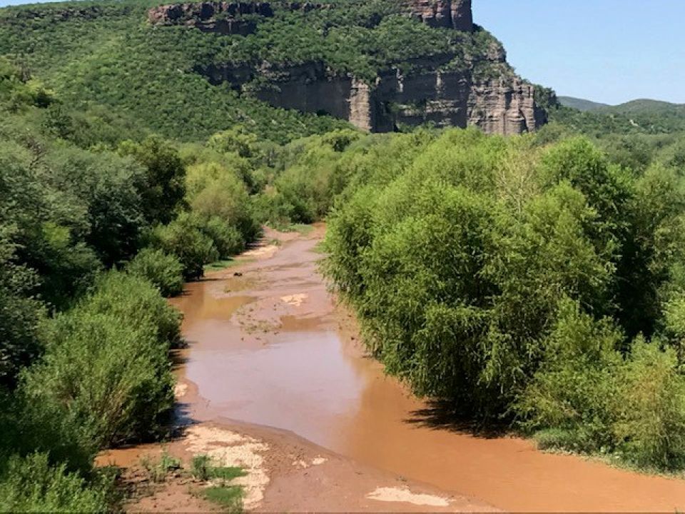 Río Sonora