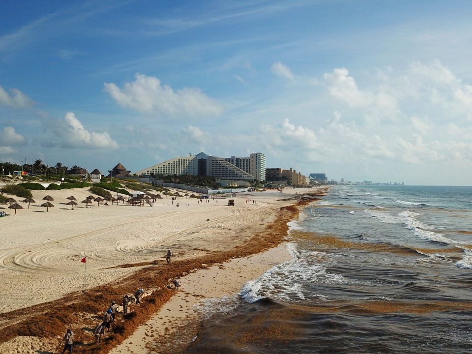 Sargazo en Quintana Roo