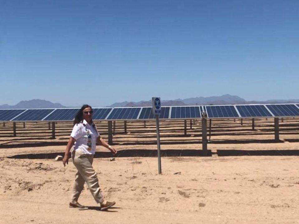 Paneles solares