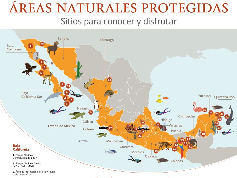 ANP Turismo Conanp