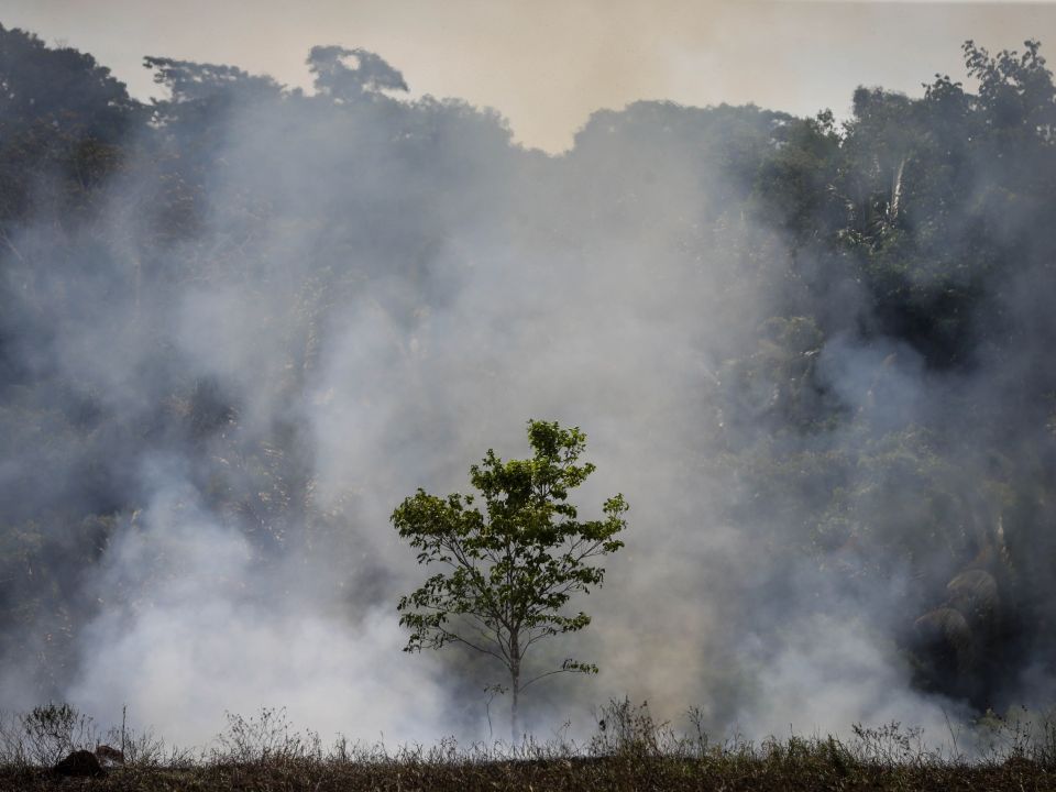 Incendio en Amazonia