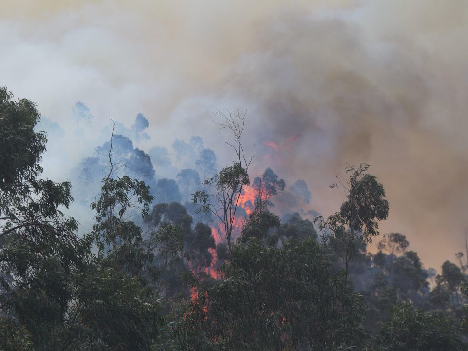 Incendio en Ecuador