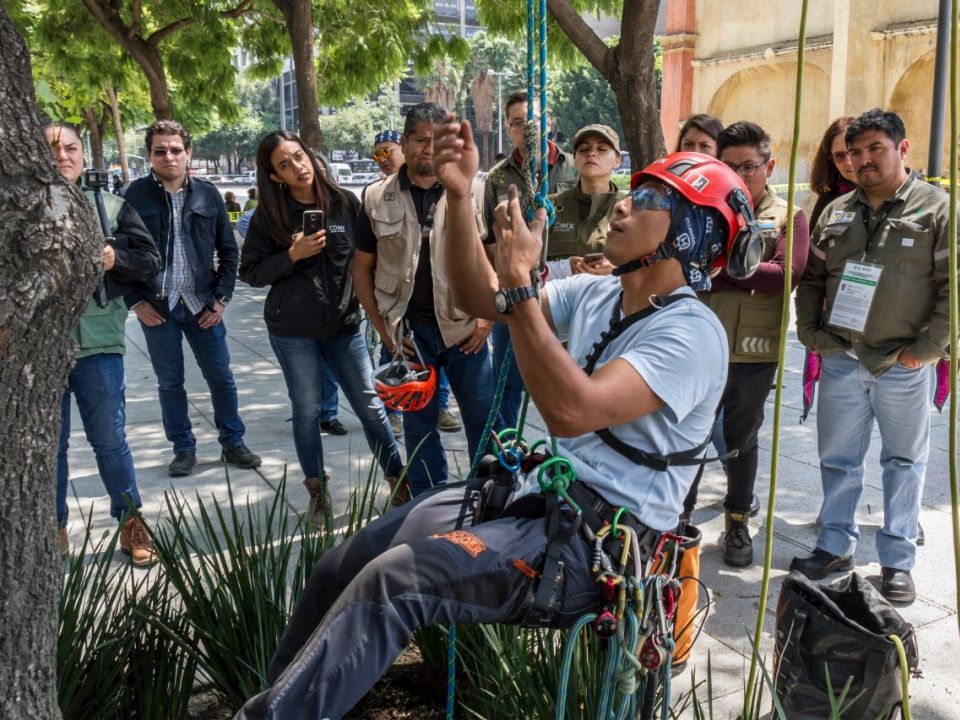 Capacitación para arbolado