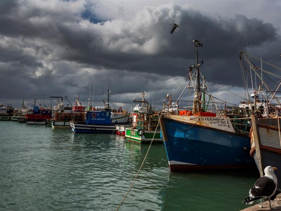 Barcos pesqueros