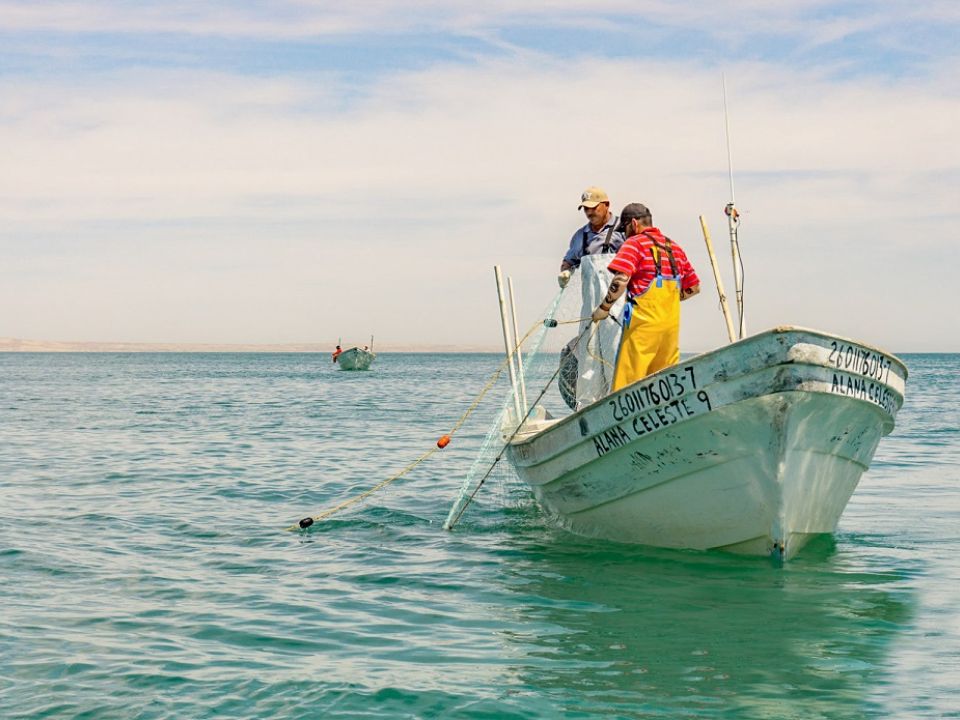 Analizan impacto ambiental y económico de la pesca artesanal
