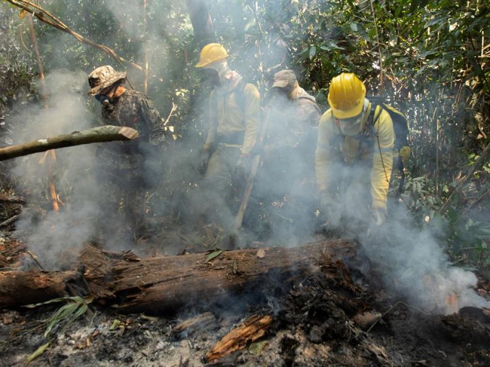 Incendios y deforestación