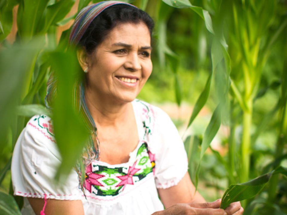 Mujer rural