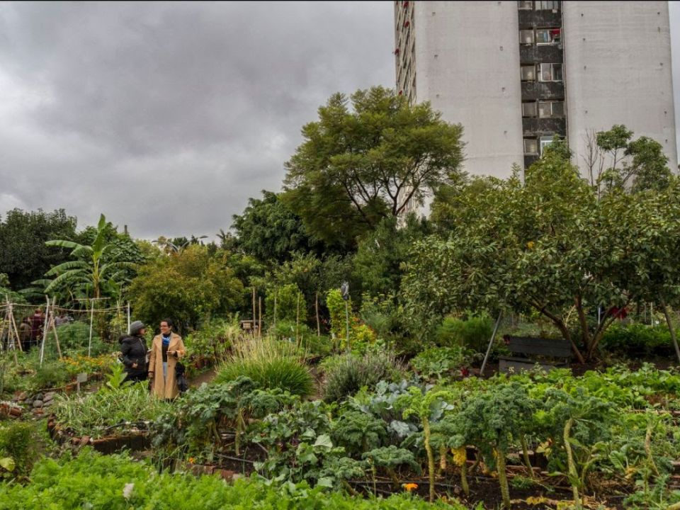 Huerto Tlatelolco