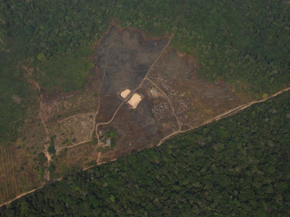 Deforestación en Amazonia