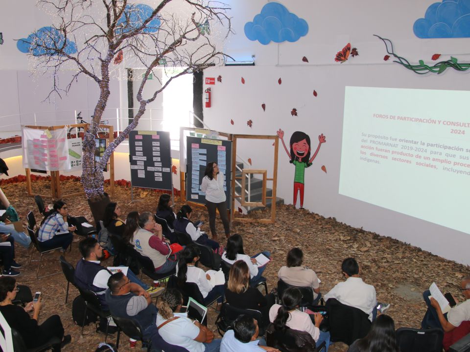 Centros de Educación y Cultura Ambiental
