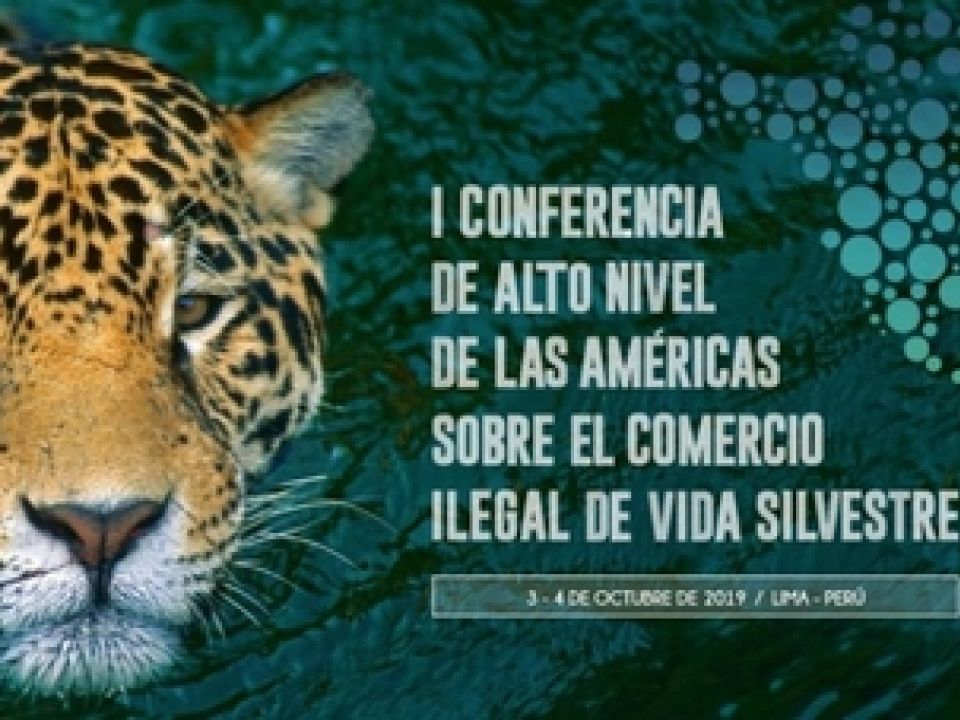 Tráfico de especies