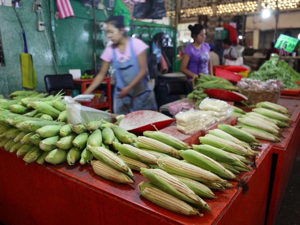 Elotes y  Maíz