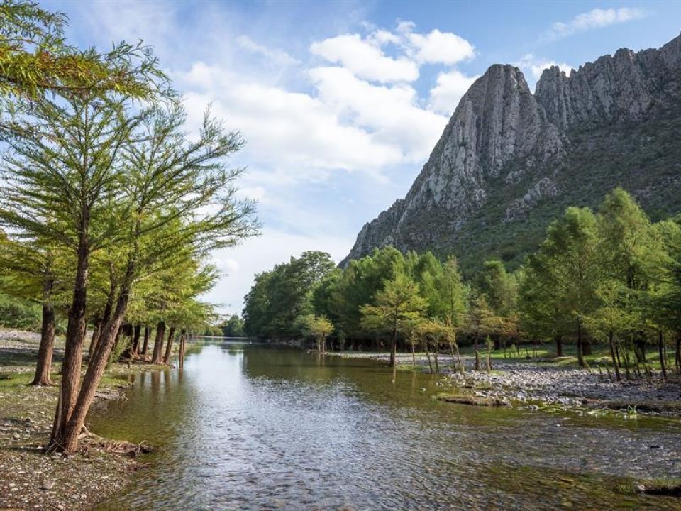 Cañón de Fernández