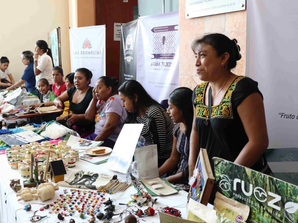 Exposición en selva maya