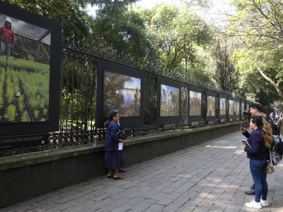 Exposición en Reforma