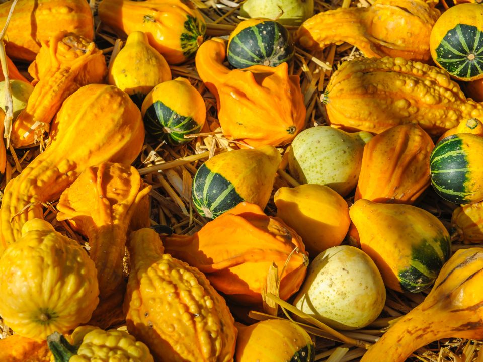 Calabazas