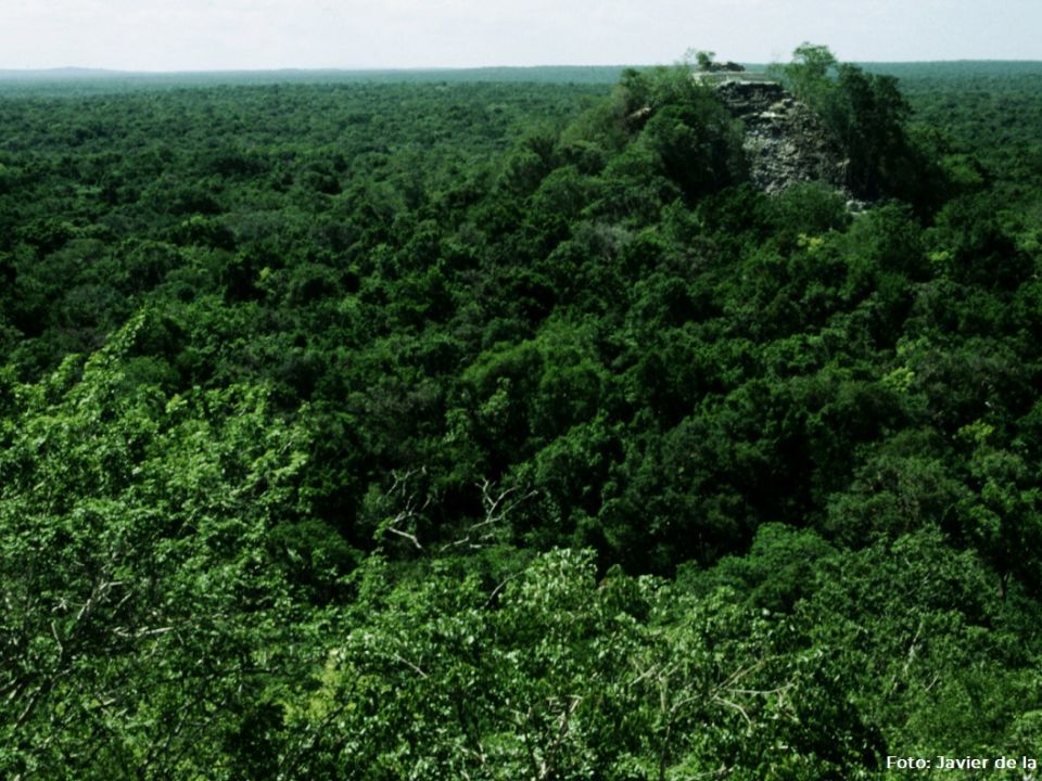 Calakmul