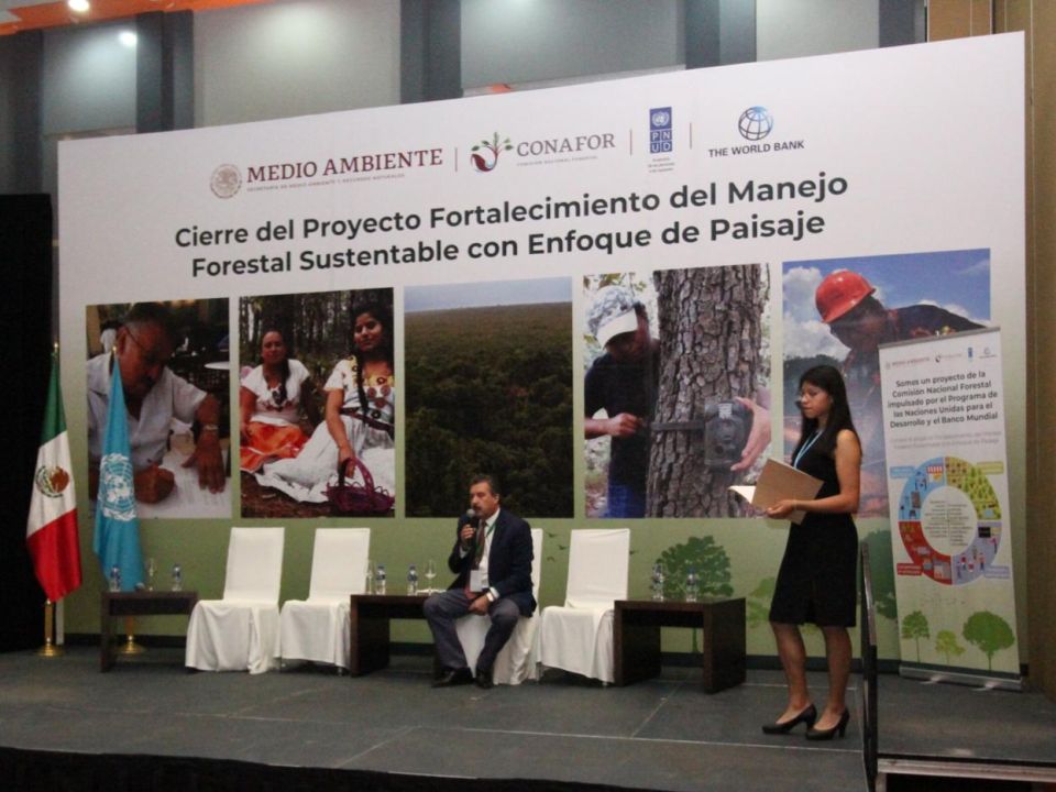 Estrategia Nacional de Manejo Forestal Comunitario 