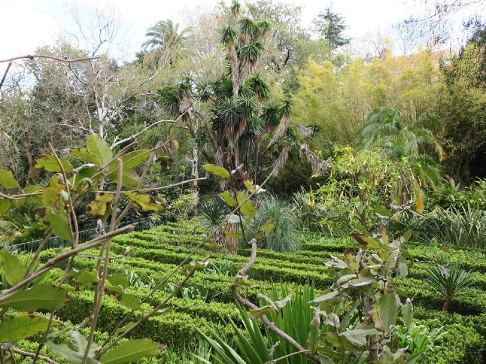 Jardín Botánico