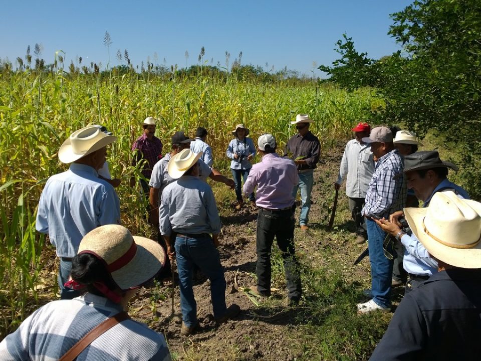 proyecto GEF Especies Invasoras 