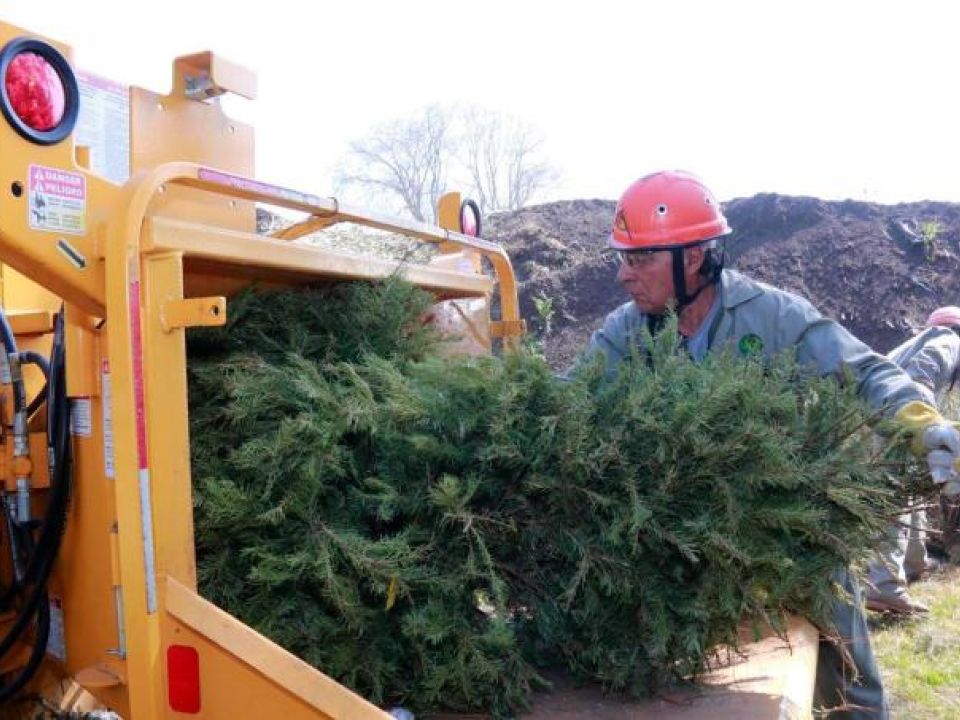 Árbol de Navidad 