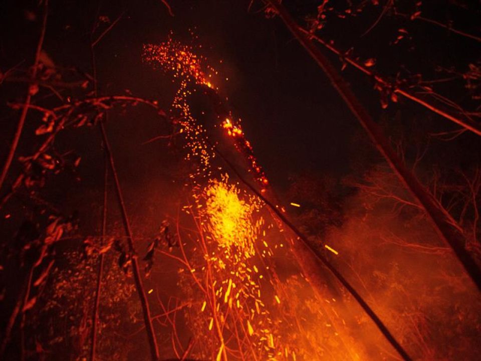 Incendio en la Amazonia