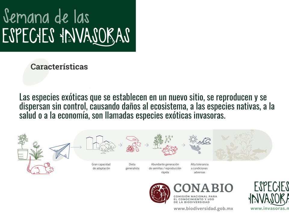 Especies invasoras