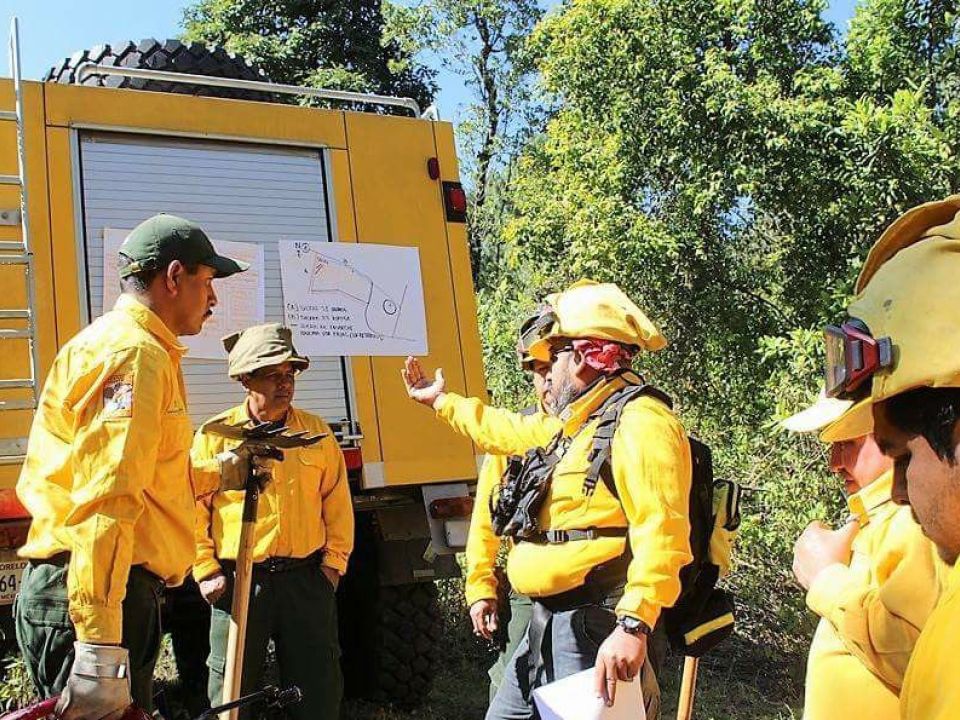 Combatientes de fuego