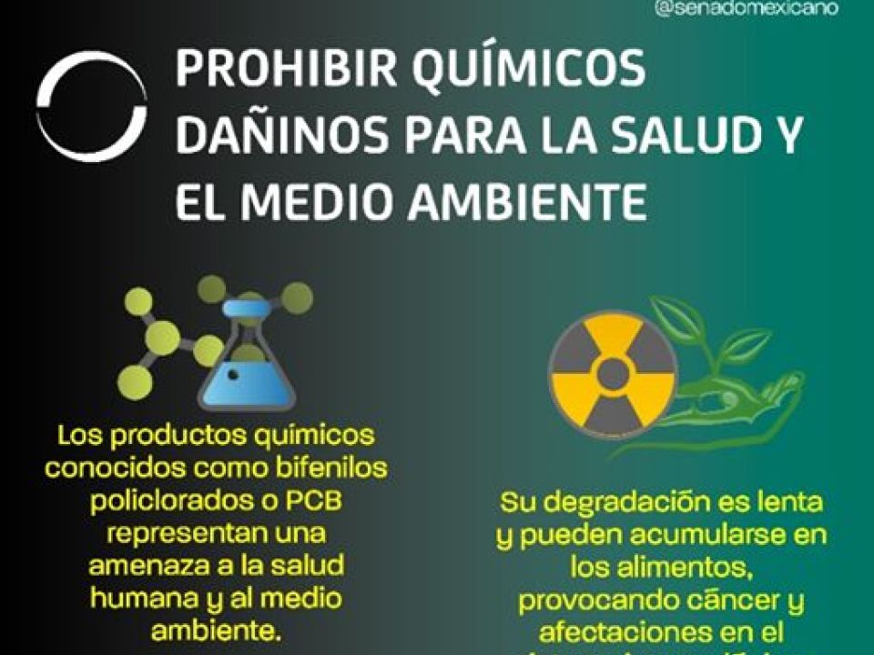 Infografía. bifenilos y policlorados 