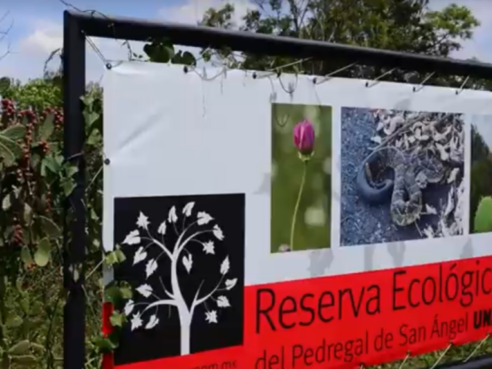 Reserva Ecologica UNAM