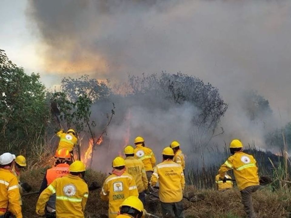 Combatientes del fuego