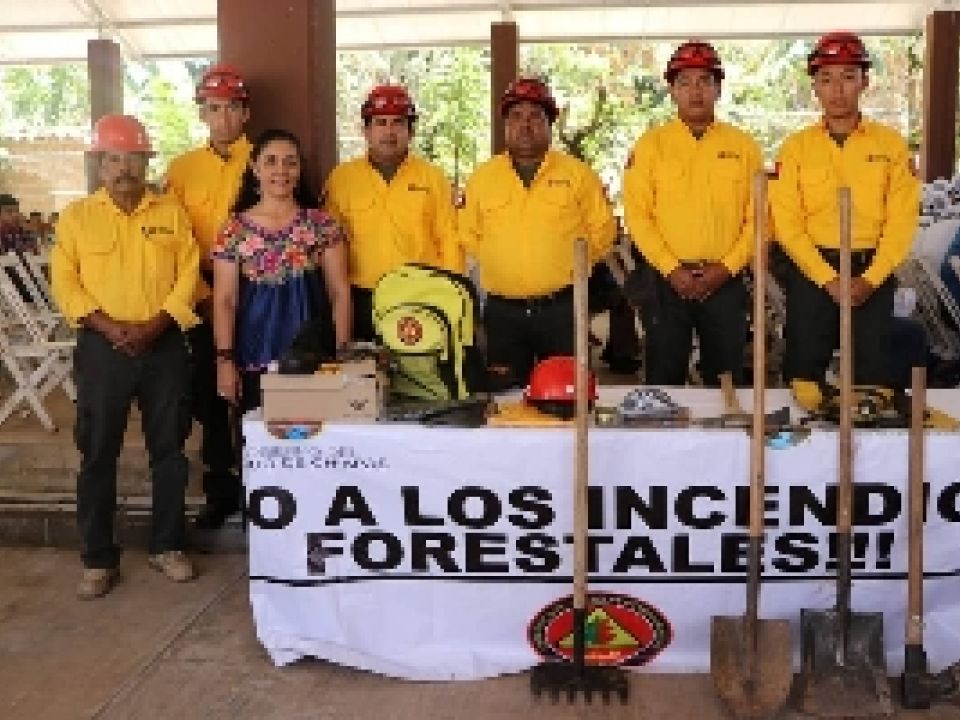 Curso. Combatientes de fuego