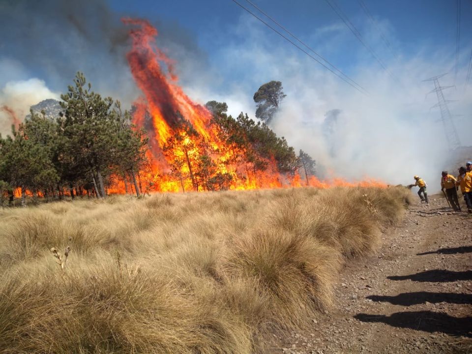 Incendios forestales