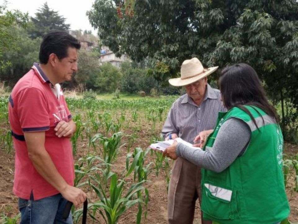 Programa Altepetl