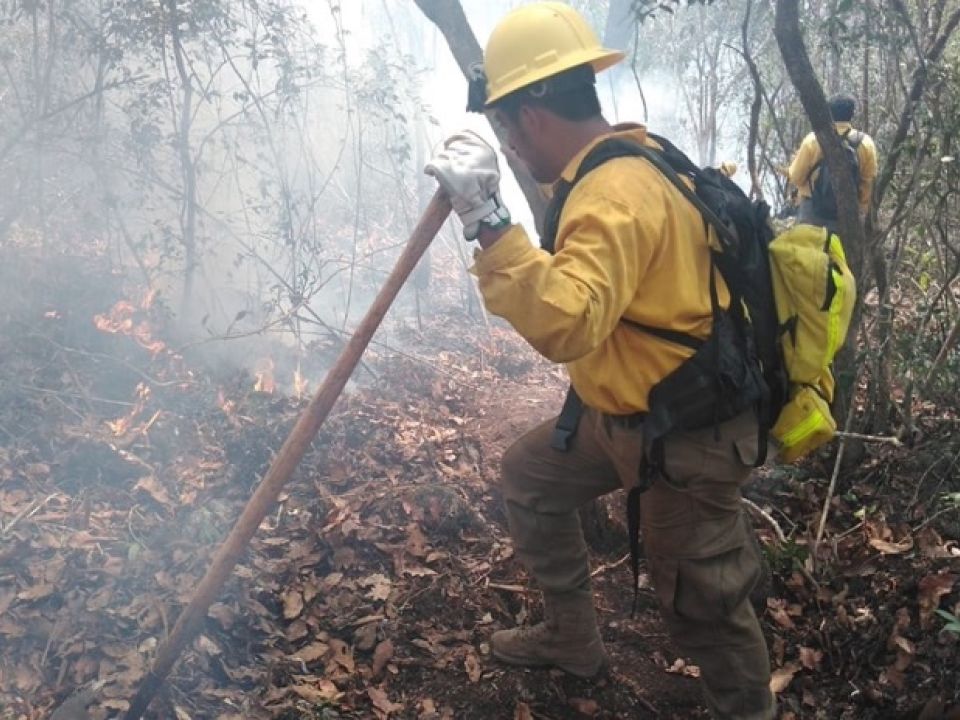 Combatiente de incendios forestales