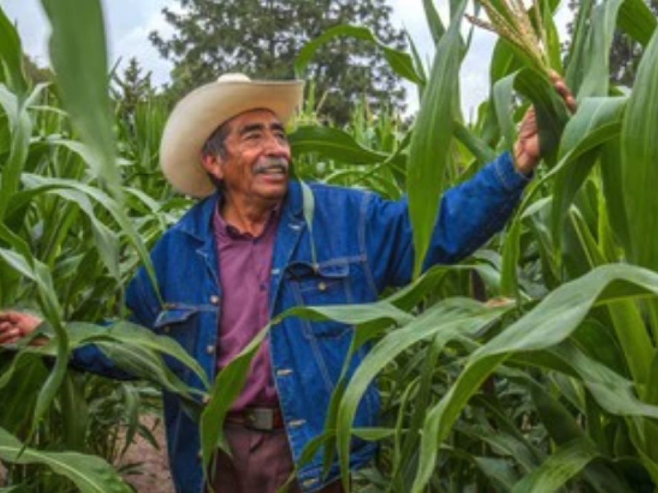 Agricultor