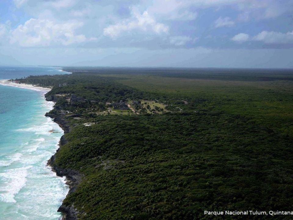 Parque Nacional Tulum 