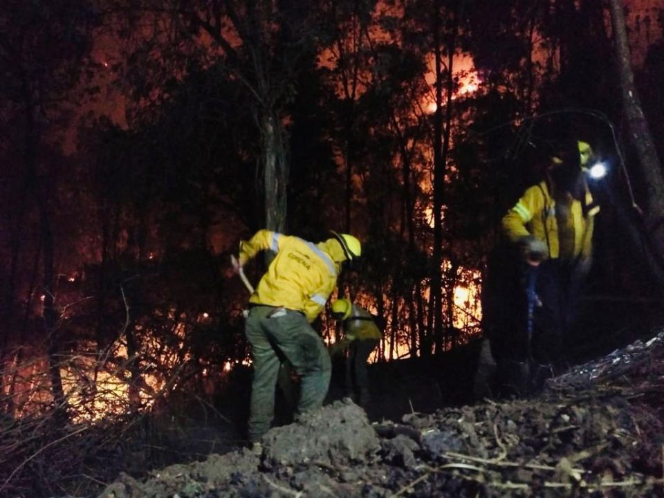 Combatientes de fuego