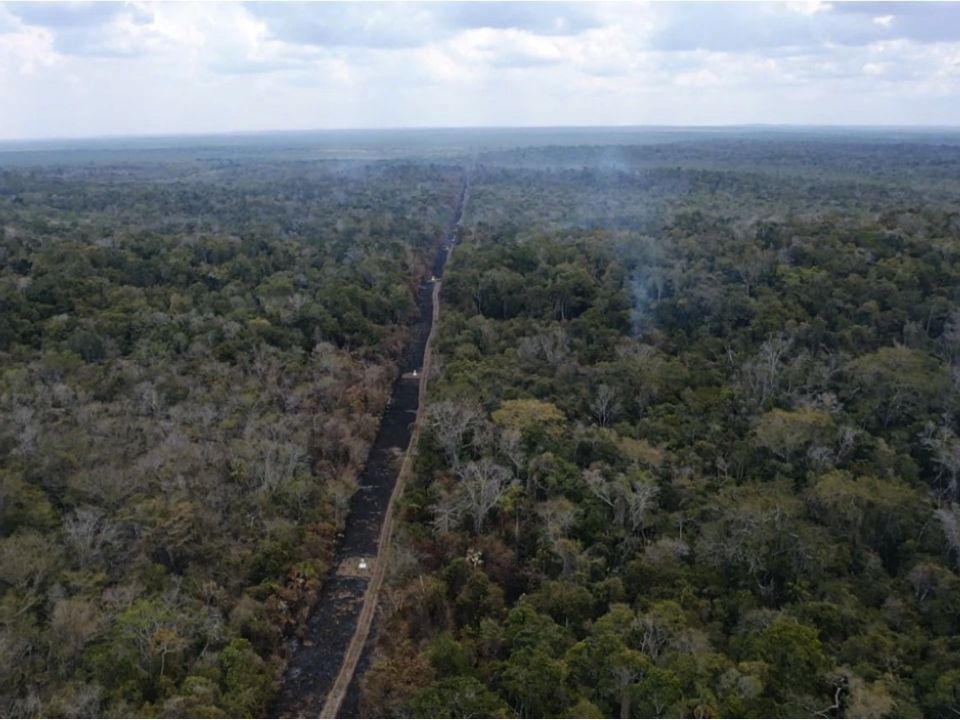 Reserva Calakmul