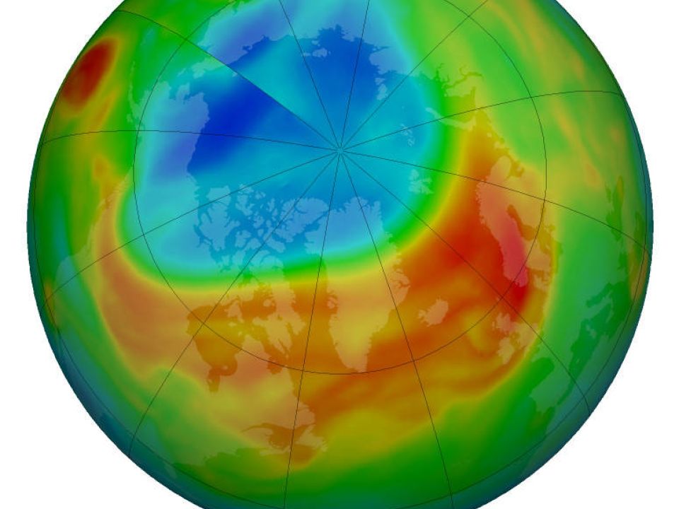 Ozono ártico